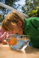 Junge will in einen Apfel in einer Wasserschüssel beißen, Kindergeburtstag