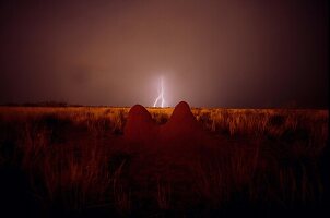 Termitenhügel und Blitz, Gewitter, Bitterwasser, Namibia, Afrika