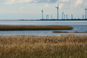 Coastal landscape with wind turbines, Gotland, Sweden, Scandinavia, Europe