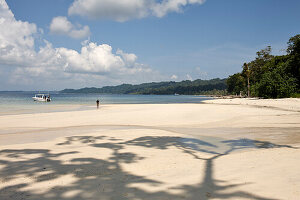 'Turtle Beach' Tauchspot, Bootstour mit Barefoot Scuba, Kuestenwald ohne Palmen, Nordwestkueste, Havelock Island, Andaman Islands, Union Territory, India