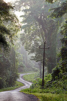 Great Andaman Trunk Road, ca. 20 - 30 Km suedl. von Diglipur, North Andaman, Andaman Islands, Union Territory, India