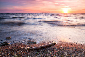 Ast, Ostsee, Bülk, Eckerförder Bucht, Schleswig Holstein, Deutschland