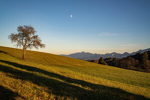 Mond über den Bayrischen Voralpen, Bad Kohlgrub, Oberbayern, Deutschland