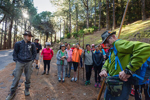 hiking tour along PR LP 14, hiking trail, group, hiking guide, Parque Natural de Cumbre Vieja, UNESCO Biosphere Reserve, La Palma, Canary Islands, Spain, Europe