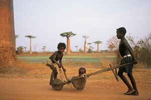 Madagascar, CÙte Ouest, Morondava, allÈe des baobabs, trois enfants jouant avec