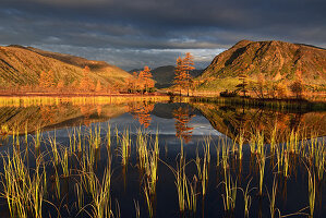 Sunny morning on lake Jack London, Magadan region, Russia