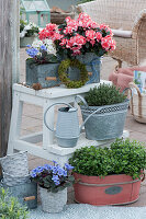 Arrangement with room azalea, African violets, thyme and oregano on a flower staircase