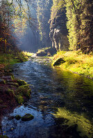 Kamnitz, Fluss, Herbst, Laubfärbung, Nationalpark, Böhmische Schweiz, Tschechien, Europa
