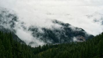 Foggy forest landscape in Giglachtal, Styria, Austria.