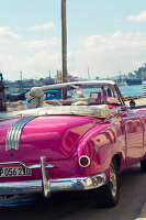 Rosa Oldtimer fährt durch Havanna in Kuba