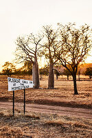 Ein Willkommensschild von einem Feldweg mit Boab-Bäumen im Hintergrund bei Sonnenaufgang an der Diggers Rest Station, Wyndham, Western Australia, Australien