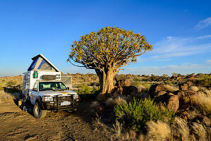 Camping at the quiver tree on the Gariganus farm, Namibia