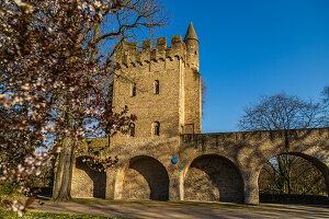 Stadtmauer in Speyer, Vordergrund unscharf, Rheinland-Pfalz, Deutschland, Europa