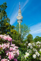 Die Parkanlage Planten un Blomen mit dem Heinrich-Hertz-Turm im Hintergrund, Hamburg-Mitte, Hamburg, Deutschland