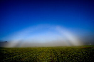 Fog bow, white rainbow in front of a wall of fog in an open field