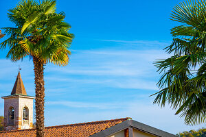 Old Roof House and Church Tower and Palm Tree in a Sunny Day in Arzo, Ticino, Switzerland.