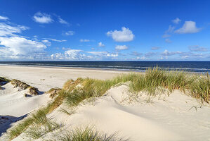 Sanddünen am Strand von Børsmose, Süddänemark, Dänemark