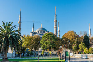 Blaue Moschee in Istanbul, Türkei