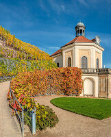 Belvedere Pavillion von Weingut Schloss Wackerbarth im Herbst, Radebeul, Sachsen, Deutschland