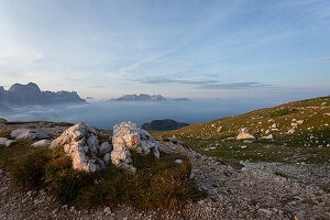 Waymarking above the clouds at sunrise at the Schlernhaus, Dolomites, Schlern, Rosengarten, South Tyrol, Italy
