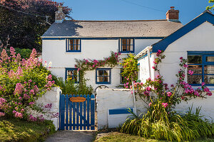 Cottage at Landewednack, Lizard Peninsula, Cornwall, England