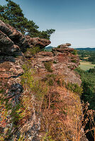 Side view of the Geiersteines, Wernersberg, Palatinate Forest, Rhineland-Palatinate, Germany