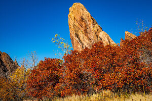 Autumn colors highlighted against the red rocks and blue sky in Roxborough State Park in Colorado