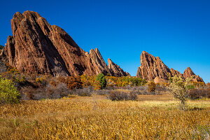 Autumn colors highlighted against the red rocks and blue sky in Roxborough State Park in Colorado
