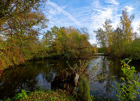 Waldsee am Main bei Grafenrheinfeld, Landkreis Schweinfurt, Unterfranken, Franken, Bayern, Deutschland