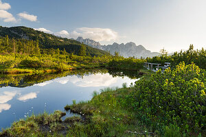 Naturschutzgebiet Löckenmoos, Gosau, Salzkammergut, Oberösterreich, Österreich