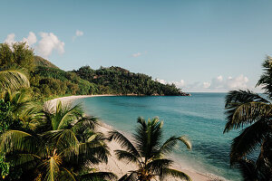 Palm trees on Anse Intendance Beach on the island of Mahe, Seychelles, Indian Ocean.
