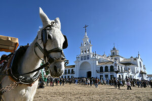 Pferd und Menschen vor der Pilgerkirche Ermita del Rocío im Donana Nationalpark, El Rocio,  Provinz Huelva, Andalusien, Spanien