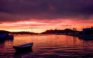  Harbour and bay of Port de Pollenca at sunrise and dawn, in the background the Tramuntana mountains, Mallorca, Spain 