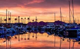 Hafen von Port de Pollenca bei Sonnenaufgang und Morgenrot, Mallorca, Spanien