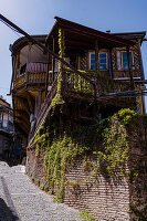 Famous building in Old Tbilisi covered with wild grape plant