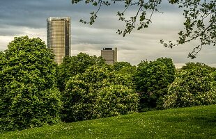  High-rise building &quot;Langer Eugen&quot; and Post Tower, seen from Rheinauenpark, Bonn, NRW, Germany 