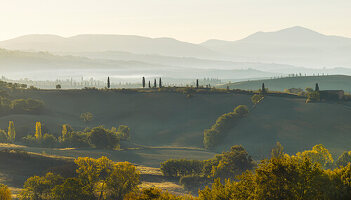 Die Hügel unterhalb von Pienza im Morgenlicht, Val d'Orcia, UNESCO Weltkulturerbe, Provinz Siena, Toskana, Italien, Europa