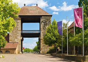  The wine gate in Schweigen on the German Wine Route, Southern Palatinate, Rhineland-Palatinate, Germany 