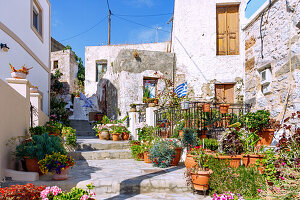 mit Blumentöpfen geschmückte Treppengasse in Chorió auf der Insel Kalymnos (Kalimnos) in Griechenland