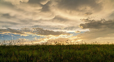  Dramatic cloudscape over a meadow in Weilheimer Moos in summer, Weilheim, Bavaria, Germany 