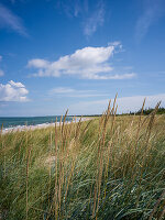 Weststrand, Ahrenshoop, Prerow, Ostsee, Fischland, Darß, Zingst, Mecklenburg-Vorpommern, Deutschland, Europa