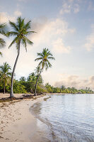 Plage de Bois Jolan, Sonnenaufgang am Strand, Sainte-Anne, Guadeloupe, Französische Antillen, Frankreich, Europa