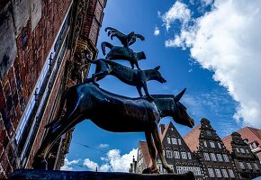  Bremen Town Musicians, bronze statue by Gerhard Marcks at the town hall of Bremen, town houses in the background, Hanseatic City of Bremen, Germany 