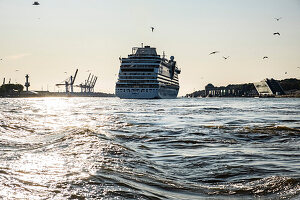 Skyline von Hamburg und Schiff Aida auf der Elbe, Hafen Hamburg, Hamburg, Norddeutschland, Deutschland