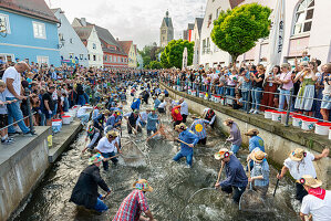  Fishing out the city stream, fishing day in Memmingen, Unterallgäu, Allgäu, Bavaria, Germany, Europe 