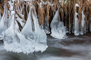  Warm Bode, ice, stream, Harz, Harz National Park, winter, Lower Saxony, Germany 