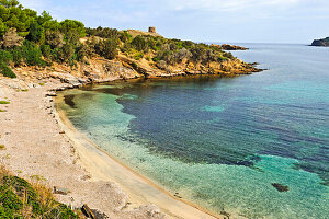 Strand von Tamarells mit dem Wachturm Torre Es Colomar im Hintergrund, Naturpark s'Albufera des Grau, Nordküste, Insel Menorca, Balearen, Spanien, Europa