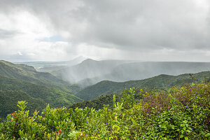  Gorges Viewpoint, great viewpoint in the jungle. Tropical vegetation in the Black River Gorges National Park, Mauritius 