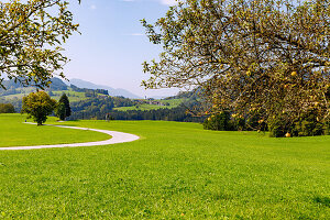  Landscape near Achental with path to Eßbaum am Samerberg in Chiemgau in Upper Bavaria in Germany 