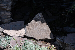  Antike Petroglyphen in einer Schlucht in der Nähe der Stadt Tsalka in Georgien 